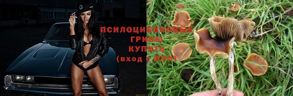 MESCALINE Пересвет