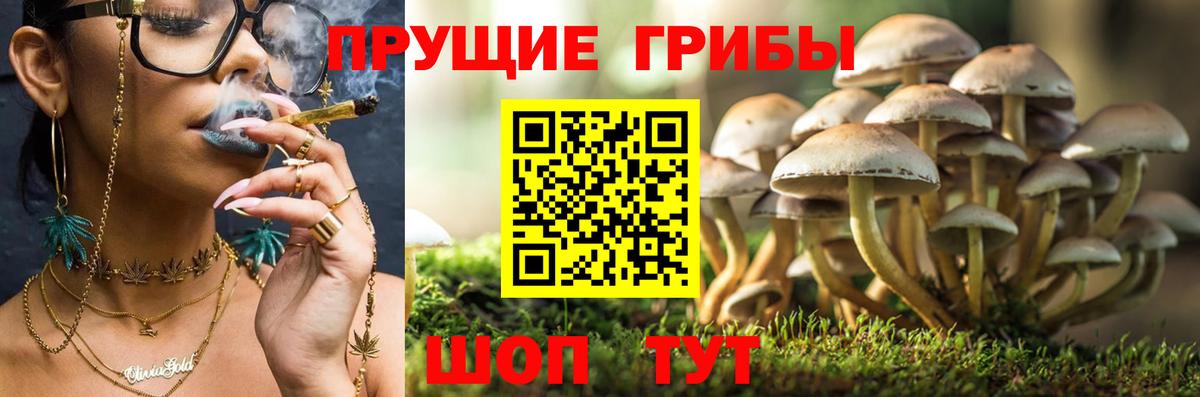 Коммунар  Галлюциногенные грибы Magic Shrooms  Вход с VPN 