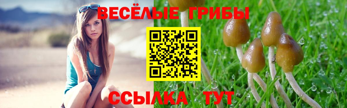 Галлюциногенные грибы ЛСД Коммунар